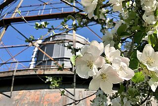 2020_04_16_Gaswerk_Fruehlingsfeature___11_.jpg