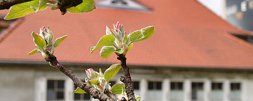 Garagengebäude auf dem Gaswerkgelände. Im Vordergrund sind Zweige. Weiterverlinkung auf zweite Gastronomie Newsartikel
