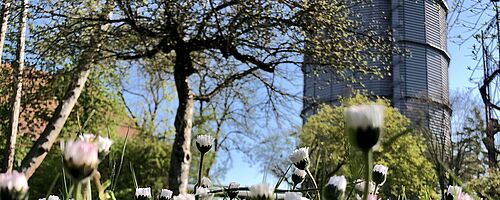 Gaswerk mit Blumenwiese im Vordergrund. Weiterverlinkung auf Frühling im Gaswerksareal Newsartikel