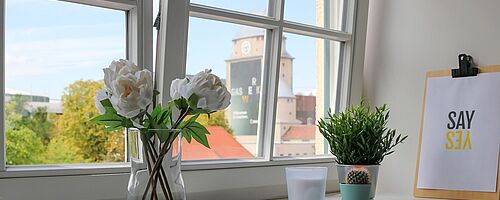 Blumen in Vasen auf einem Fensterbrett. Weiterverlinkung auf Gaswerk neue Räume Newsartikel